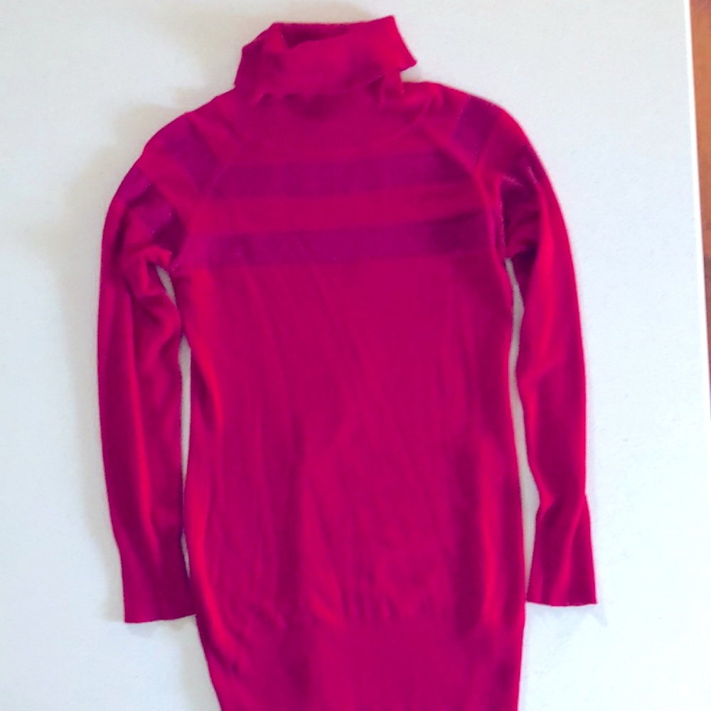 Dark cranberry colored long turtleneck sweater with two sparkly bands on the top